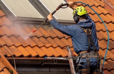 Démoussage et hydrofuge de toiture à Pimorin